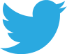 twitter image