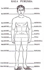 kaal-purusha health fitness report medical astrology ayurvedic astrology predictions forecast 2017 2018 2019 2020 yoga naturopathy unani homeopathy cardio d3 drekkana d6 shashtamsa varga divisional chart doctor vaidya