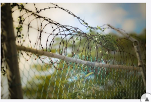 jail confinement restrictions Jayalalithaa Jayaram horoscope kundli predictions
