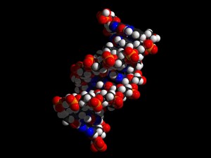dna-694798_1920 past life karma reincarnation re-birth horoscope kundli 